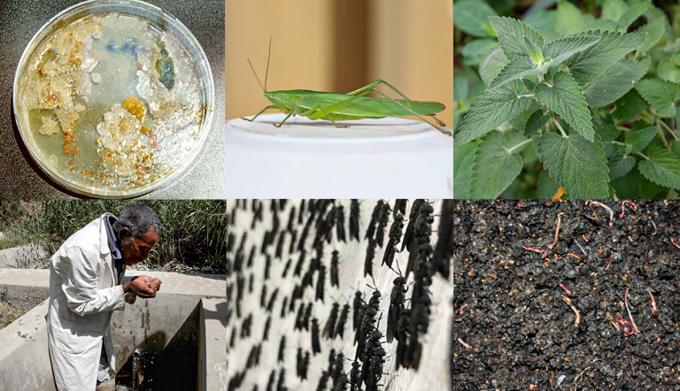 Short essay on nature image