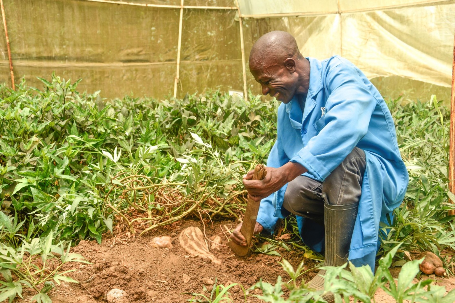 Photo of the month April 2021 BioInnovate Africa
