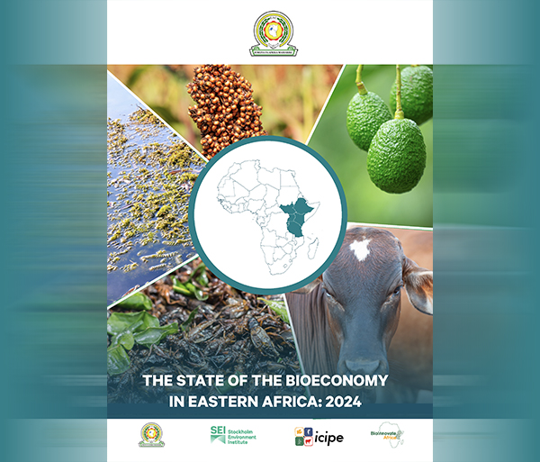 The State of the Bioeconomy in Eastern Africa: 2024 - BioInnovate Africa